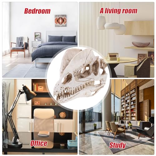 NUOBESTY Resin Dinosaur Skeleton Aquarium Decoration Dinosaur Skull Skeleton Ornament Fish Tank Aquarium Terrarium Decoration