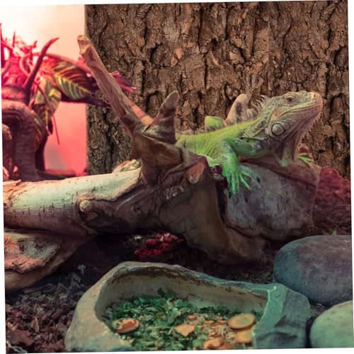 BESPORTBLE 2pcs Cork Bark Aquarium Decor Natural Tree Bark Hideout for Reptiles Bearded Dragon and Lizard Tank Versatile Trimmable Easy to Assemble Background for Habitat Enrichment