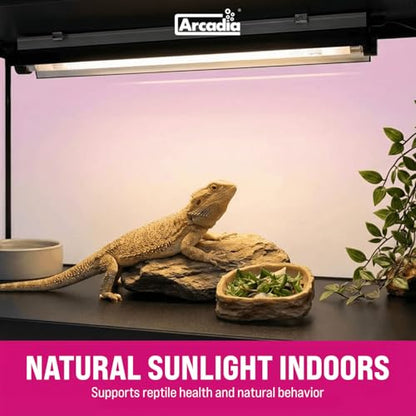 Arcadia T5 UVB Reptile Light Fixture Kit 36" Long 39 Watts 14% UVB Dragon – Complete UVB Light for Reptiles, Turtles, Snake, Bearded Dragon Lamp, Long Lasting Easy to Use Professional Lighting