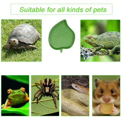 3PCS Tortoise Dish with Ramp Leaf - Tortoise Food & Water Bowls - Reptile Habitat Accessories for Horned Frogs & Lizards - Fit for Bath