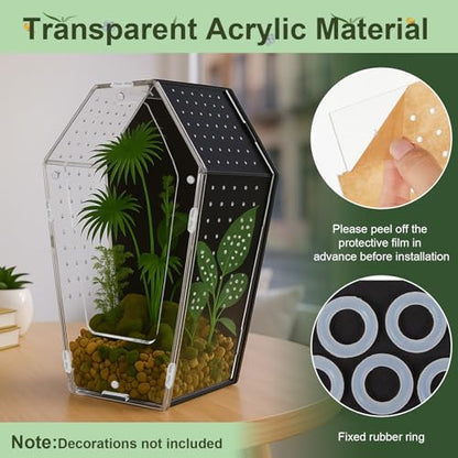 Yalikop Acrylic Jumping Spider Habitat Versatile Reptile Enclosure Transparent Insect Terrarium Habitat for Spiders, Tarantula, Gecko, Chameleon, Beetle, Mantis, and Hermit Crab(Black and Clear,L)