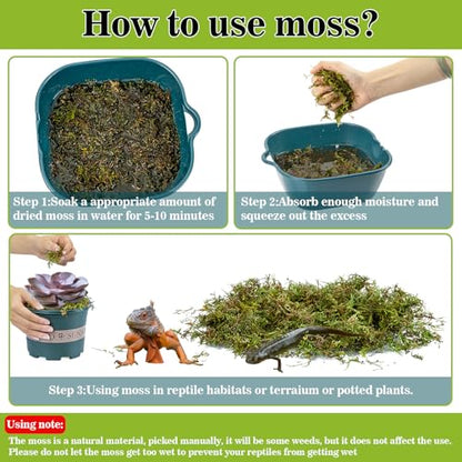 RAINFLOW Sphagnum Moss for Reptiles - 7 Oz Reptile Moss Peat Terrarium Moss Bedding Reptiles Lizard Substrate for Reptile Tank, Snake, Leopard Gecko, Ball Python, Crested Gecko, Turtle, Frog, Hamster