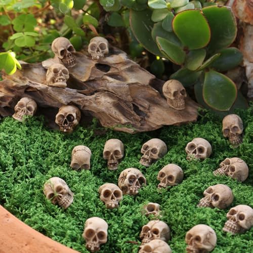 20PCS Miniature Resin Skull Figurines, Miniature Halloween Skeleton Heads, for Potted Plants, Aquariums, Desktop Decor DIY，for Decorative Yard Art for Outdoor Garden