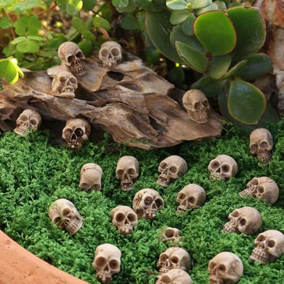 20PCS Miniature Resin Skull Figurines, Miniature Halloween Skeleton Heads, for Potted Plants, Aquariums, Desktop Decor DIY，for Decorative Yard Art for Outdoor Garden