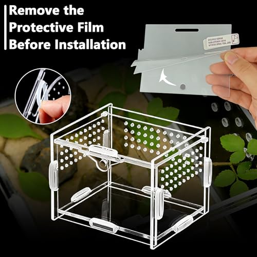 Small Acrylic Insect Terrarium – Mini Insect Enclosure for Jumping Spiders – Clear Acrylic Cage with 1mm Ventilation Holes, Easy Maintenance - size: Small Square Acrylic Terrarium
