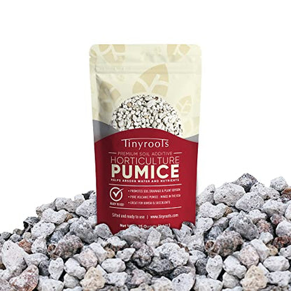 Bonsai Outlet Horticultural Pumice for Plants - Tinyroots Succulents, Cactus, Bonsai Plants - 100% Pure Bonsai Pumice Rocks, 1/4 inch Soil Additive, 2 Quarts - size: 2QT