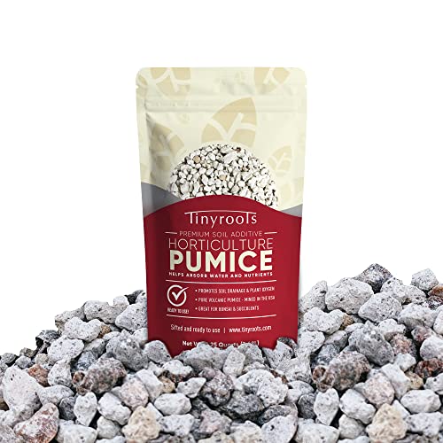 Bonsai Outlet Horticultural Pumice for Plants - Tinyroots Succulents, Cactus, Bonsai Plants - 100% Pure Bonsai Pumice Rocks, 1/4 inch Soil Additive, 2 Quarts - size: 2QT