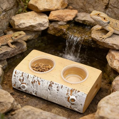 Gecko Feeding Ledge - Magnetic Food Dish, Feeder Ledge with 10 Feeding Cups, Reptile Water Bowls, Frogs Centipede for Small Animal, Terrarium Habitat Accessory for Pets Crabs Turtle Spider
