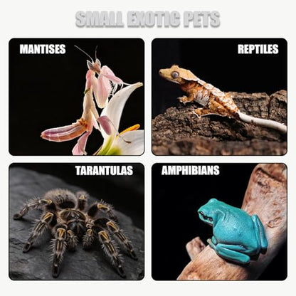 8x8x12 Reptile Tank – Acrylic Reptile Enclosure Terrarium for Crested Gecko, Lizards, Spiders & Snakes – Clear Lizard Habitat Terrarium - size: 8"8"12"