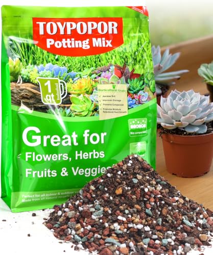 TOYPOPOR Succulent Soil, Cactus Potting Mix 2 Pounds/1 Quart, High Drainage, Pre-Mixed Ready to Use for All Succulent Varieties, Indoor Plants, Bonsai, Terrarium, Houseplant, 70% Particles 30% Soil - color: 70% particles + 30% soil, size: 1 qt