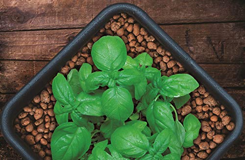 GROW!T GMC40l - 4mm-16mm Clay Pebbles, Brown, (40 Liter Bag) - Made from 100% Natural Clay, Can be used for Drainage, Decoration, Aquaponics, Hydroponics and Other Gardening Essentials - size: 40 Liter Bag