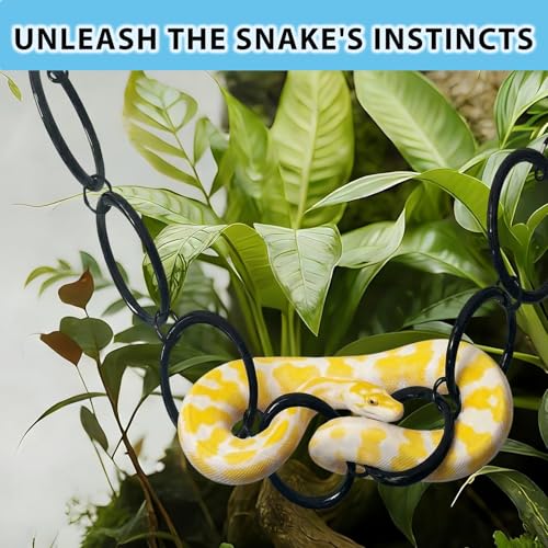 Snake Climbing Rings, Snake Climbing Chain for Ball Python Hoop & Corn Snake, Adjustable Playground Reptile Tank Accessories for Garter Snakes, Lguana, Lizards, Gecko, Chameleons, Parrot
