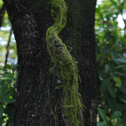 70.86" Fake Tree Branches Grapevine Moss Garland Wall Vines | Artificial Reptile Climbing Twigs Tree Trunk for Cherry Blossom Flowers Hanging Wedding Garden Halloween Outdoor Decoration - size: 5ft 11in