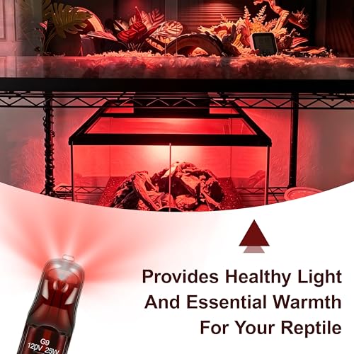 G9 25 Watt Infrared Heat Lamp Bulbs for Reptile | 2 Pin Base Light Bulb Replacement Dimmable Warm Red-2Pcs