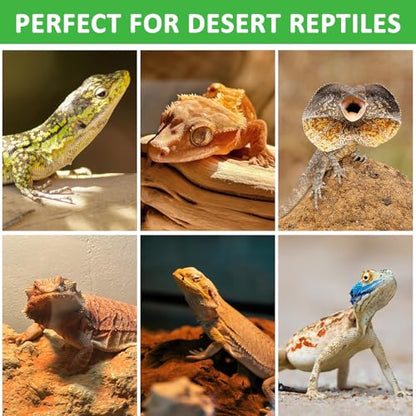 Aiicioo UVB Reptile Light 5.0 13W Desert UVB Spiral Compact Fluorescent Lamp UVB Reptile Light Bulb Tropical and Sub-Tropical UVB Bulb for Reptiles Bearded Dragons Lizards - size: UVB 5.0 13W
