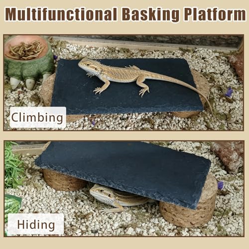 Bearded Dragon Basking Rock Platform,Reptile Basking Slate Rock with Wooden Stump,Leopard Gecko Hides and Caves Tank Accessories for Lizards,Snakes,Turtle,Ball Pythons