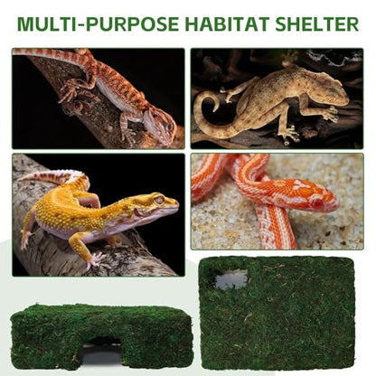 M Size Green Moss Reptile Cave, Safe Hide for Snakes & Geckos | Natural green moss finish, Smooth rounded entry edge, Handcrafted durability - color: M Green