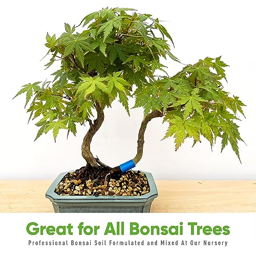 Tinyroots Bonsai Soil Mix - All Purpose Ready to Use Blend for All Varieties of Bonsai Trees, 4.5 Quarts - size: 4.5 Quarts