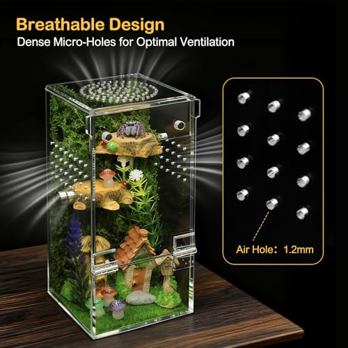 Jumping Spider Enclosure Starter Kit,Escape Proof Forest Terrarium | Praying Mantis Terrariums,Transparent Acrylic Complete Bug Habitat,All In One Arboreal Tarantula Cribs Cage,Insect Container - size: Small