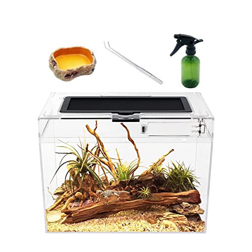 Reptile Growth Mini Reptile Terrarium,12" x 7"x 9" Reptile Tank with Full View Visually Appealing，for Insect，Fish，Tarantula，Hermit crab，Jumping spider，Iguana，Tortoise，Leopard Gecko，Frog，Bearded dragon - color: Clear, size: 12" x 7"x 9"