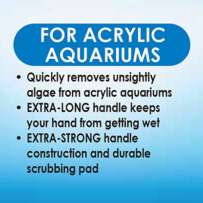 API Algae Scraper for Acrylic Aquariums 1-Count Container (Pack of 12) - color: Green, size: Scraper (Pack of 12)