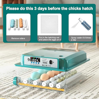Egg Incubator for Hatching 16 Eggs|24 Quail Eggs, All-in-One Auto Incubator | Automatic Egg Turning, Precise Temperature Control, Stable Humidity Control, Adjustable Rollers for Duck, Goose, Pigeon Eggs