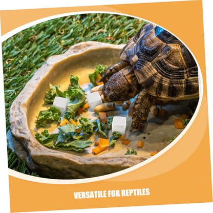 Kisangel 30pcs Natural for Turtles Tortoises Frogs Lizards Chameleons Promotes Growth Bone Strength Vitality