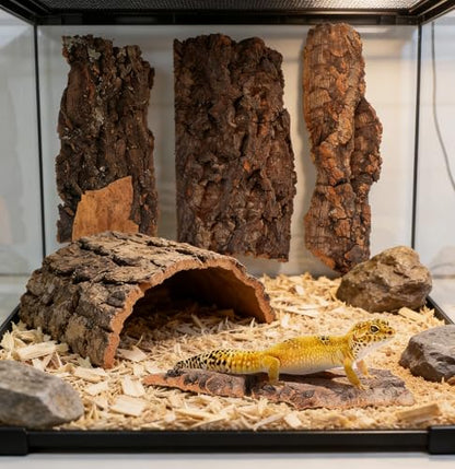 Cork Bark for Reptiles, 4PCS Cork Terrarium Background, Pet Reptile Bark Bearded Dragon Tank Accessories for Bearded Dragon Lizard Geckos Tortoise, 3.2 to 5.5Inch