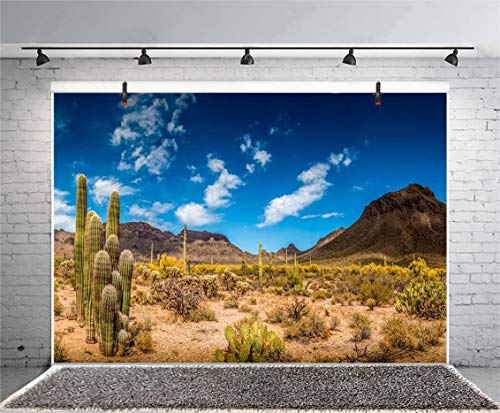 Leyiyi 5x3ft Photography Background Mexico Cactus Backdrop Western Life Desert Plant Saguaro Dry Sand Grunge Bush Mountain Poor Rural Cowboy American Travel Polyester Portrait Studio Video Prop - color: Desert5, size: 5x3ft-P
