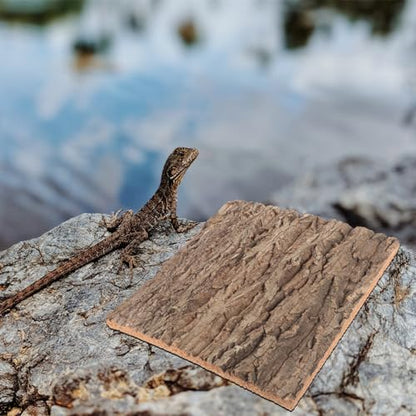 BESPORTBLE Cork Terrarium Background Natural Reptile Bark Backdrop for Climbing Lizard Habitat Decor for Bearded Dragons and Other Reptiles Aquarium Landscaping