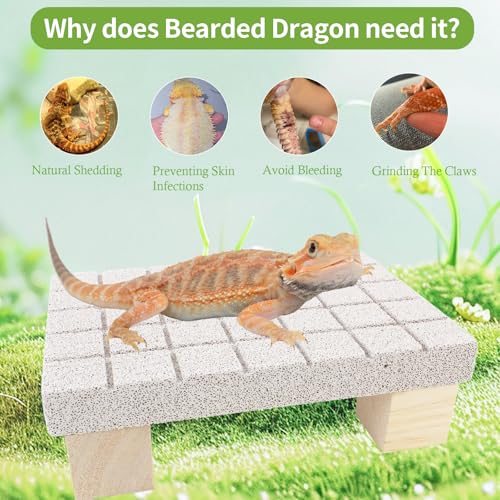 Bearded Dragon Shedding Rock, Bearded Dragon Pumice Stone Platform for Shedding, Calcium Stone with Wooden Pile, Reptiles Claw Grinding Block to Remove Dead Skin, Reptile Tank Care Accessories