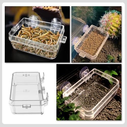 PRETYZOOM Reptile Feeder Escape-Proof Food Bowl Large with Suction Cup Multi-Function Feeding Dish for Geckos and Small Reptile Pets