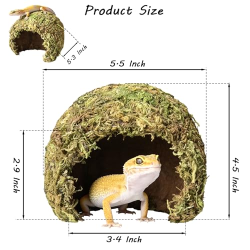 Snake Hide & Reptile Cave - Bearded Dragon Accessories & Leopard Gecko Tank Accessories - Coconut Moss Terrarium Decor & Reptile Supplies for Amphibian Habitats