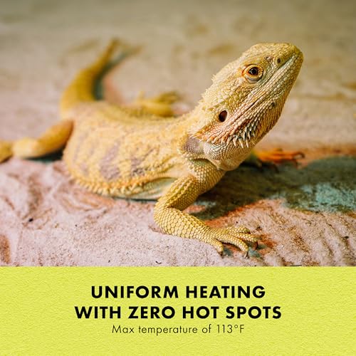 Zilla Heat Mat, Terrarium Heater for Reptiles, Snakes (Ball Pythons, Corn Snakes), Leopard Geckos, Tortoises, Amphibians and Arachnids, Mini, Fits 1-5 Gallon, 4 Watt - size: Mini , 4" x 7"