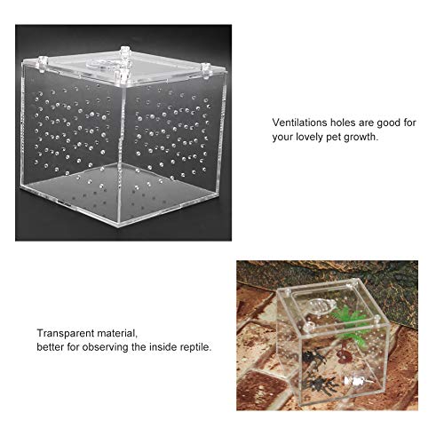 GLOGLOW Nan Clear Acrylic Reptile Viewing Box, Durable Feeding Container for Tarantula and Gecko, 3.9x3.9x3.5 Inch with Ventilation Holes Crawler Breeding Tools, Reptile Hatching Supplies