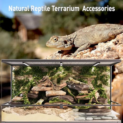 Kaiyuan Dynasty Natural Driftwood for Aquarium Sinkable Driftwood for Reptile Terrariums Fish Tank Decorations 12-16",About 1.5 lbs