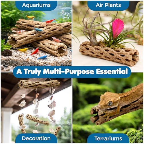 SunGrow Hermit Crab Woods, Climbing Logs, Chews, Keep Hermies Busy and Active, Long Dried Aquarium Décor Adds Raw Beauty