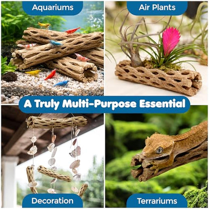 SunGrow Hermit Crab Woods, Climbing Logs, Chews, Keep Hermies Busy and Active, Long Dried Aquarium Décor Adds Raw Beauty
