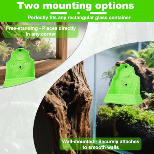 Large Capacity Bearded Dragon Feeder, Escape-Proof Reptile Corner Hunting Bowl with Suction Cups Wall-Mounted Reptile Feeding Box for Lizards Geckos Chameleons & Frogs (Green)