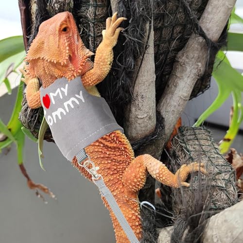 Bearded Dragon Travel Backpack Carrier with Reptile Thermometer and Humidity Gauge Lizard Travel Cage Space Capsule Clear Bubble Window Astronaut Reptile Bag for Ball Python (Pink, Backpack+I LSH) - color: Pink, size: Backpack+I LSH