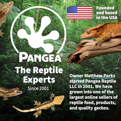 Pangea Reptile Hide Box (F - X-Large 16.25"x11"x4.5") - Fits Most Cages 2'x4' and up, Usable as Snake Tank Accessories, Good for Ball Python, Boas, Kingsnake - size: F- X-Large