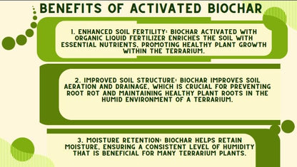 Generic Horlticural Activated Charcoal for Plants, 4 Quarts, Indoor and Outdoor, Charcoal for Terrariums, Conditioning for Bonsai Soil and Catus Soil, Black, NWS-4q-ABC