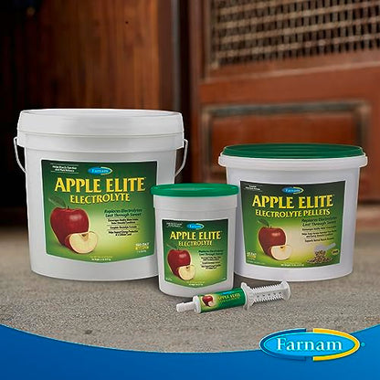Farnam Apple Elite Horse Electrolytes Powder Supplement, Replaces Vital Minerals, Encourages Hydration, Sugar-Free, Contains Sodium, Potassium, Calcium & Magnesium, Apple Flavored, 5 lb - size: 20 pounds