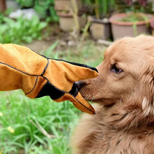 Animal Handling Gloves - Bite Proof Safety | Protective Gloves For Grooming, Work, Gardening, Cutting, Kitchen, Welding, Construction, Bathing | Durable Safety Guard For Handling Animals At Home Or Wo