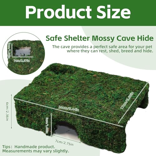 M Size Green Moss Reptile Cave, Safe Hide for Snakes & Geckos | Natural green moss finish, Smooth rounded entry edge, Handcrafted durability - color: M Green