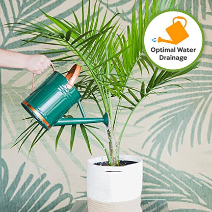 Perfect Plants Indoor Plant Soil 8qt | Perfectly Balanced Potting Mix | Gardening Substrate for All Varieties of Live houseplants - size: 8qts.