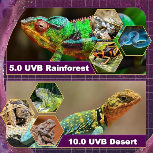 T5 HO UVB Lighting Combo Kit, Reptile Light Fixture with Fluorescent Light Bulbs, Tropical Light for Reptiles and Amphibians, Basking Light for Bearded Dragon, High Output Natural Light (39W 10.0 UVB)