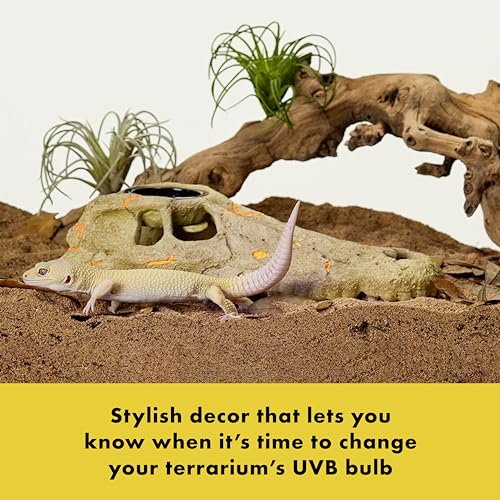 Zilla Rapid Sense UV Detecting Pet Reptile Terrarium Décor, Detects UVB Levels, Crocodile Skull, Large - size: Large