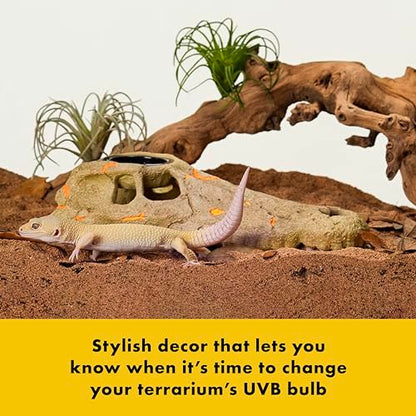 Zilla Rapid Sense UV Detecting Pet Reptile Terrarium Décor, Detects UVB Levels, Crocodile Skull, Large - size: Large