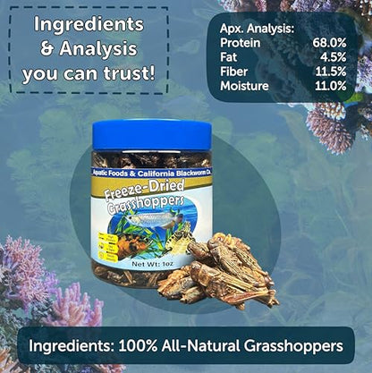 Grasshoppers, Freeze Dried Grasshoppers for Large Tropical Fish, Monster Fish, Reptiles, Turtles, Tortoises, Frogs, Hamsters, Birds, Rodents 1.0oz Canister - size: 1 Ounce (Pack of 1)
